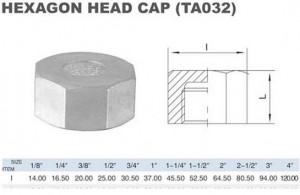 HEX CAP